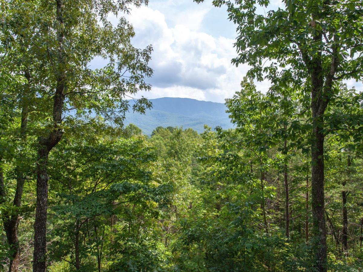 蓋特林堡Mountain Charm别墅 外观 照片